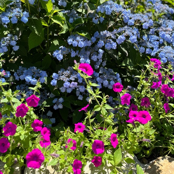 Meet your Poshmark Ambassador, Deb - Picture 7 of 16